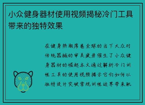 小众健身器材使用视频揭秘冷门工具带来的独特效果